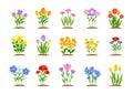 Spring garden flower beds flat style vector set Royalty Free Stock Photo