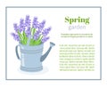 Spring garden. Flower brochure design backgrounds, vector templates of banners or business cards. Spring plant mouse