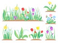 Spring garden flowers. Early flower, colorful gardens plants and flowering plant gardening flat vector illustration Royalty Free Stock Photo