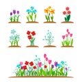 Spring garden flowers icon set. Forest flower isolated on white background. Blossom summer plant collection. Vector Royalty Free Stock Photo