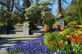 spring garden full of colorful tulips and fritillaria flowers on Mainau island in Germany Royalty Free Stock Photo