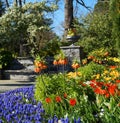 spring garden full of colorful tulips and fritillaria flowers on Mainau island in Germany Royalty Free Stock Photo