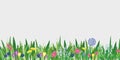 Spring garden grass and flowers border. Cartoon vector flower background. Green elements on transparent background