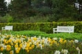 Spring garden Keukenhof, Holland Royalty Free Stock Photo
