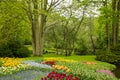 Spring garden Keukenhof, Holland Royalty Free Stock Photo