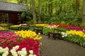 Spring garden Keukenhof, Holland