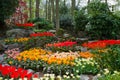 Spring garden Keukenhof, Holland Royalty Free Stock Photo