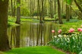 Spring garden Keukenhof, Netherlands