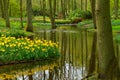 Spring garden Keukenhof, Netherlands