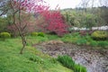 Spring Garden in the morning.After rain. Royalty Free Stock Photo