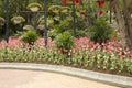 Spring garden in nanning Qingxiu mountain Royalty Free Stock Photo