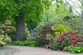 Spring garden with plants in bloom under oak tree Royalty Free Stock Photo