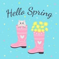 Spring garden rubber boots with a bouquet of dandelions and a cute kitty with big eyes sitting inside the boot. Hello spring text Royalty Free Stock Photo