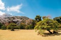 Spring garden scenery at Ise Grand Shrine Naiku in Mie, Japan