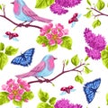 Spring garden seamless pattern. Natural illustration with blossom flower, robin birdie and butterfly Royalty Free Stock Photo