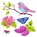 Spring garden set of objects. Natural illustration with blossom flower, robin birdie and butterfly