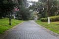 Spring garden stone path