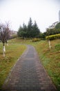 Spring garden stone path