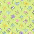 Spring Garden variety flowers seamless pattern.