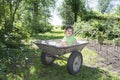Spring in the garden in a wheelbarrow sits a little curly girl. Royalty Free Stock Photo