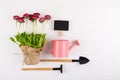 Spring Garden Works Concept. Gardening tools, flowers in pots and watering can on white table. flat lay Royalty Free Stock Photo