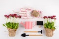 Spring Garden Works Concept. Gardening tools, flowers in pots and watering can on white table.  flat lay Royalty Free Stock Photo