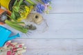 Spring gardening background with brigth spring flowers and gardening tools on white paint planks top view
