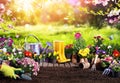 Spring-Gardening- Flowerpots An Equipment Royalty Free Stock Photo