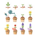 Spring gardening vector flat illustration in pastel colors with cute flowers