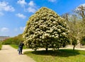 spring in the gardens Jardin des Plantes in Paris Royalty Free Stock Photo