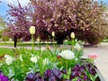 spring in the gardens Jardin des Plantes in Paris Royalty Free Stock Photo