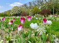 spring in the gardens Jardin des Plantes in Paris Royalty Free Stock Photo