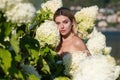 Spring girl in blooming bush of hydrangea flowers in spring garden. Hydrangeas flowers. Woman near a blossoming