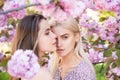 Spring girls fashion. Portrait of a two beautiful sensual sexy woman in cherry blossoms. Royalty Free Stock Photo