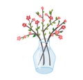 Spring glass transparent jug with twig flower, springtime mood wild floret isolated on white, flat vector illustration