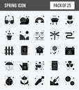 25 Spring Glyph icon pack. vector illustration Royalty Free Stock Photo