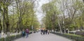 In the spring Gorky Park citizens walk and rest on the benches
