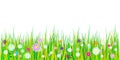 Spring grass and flowers borders. Easter decoration with spring grass and meadow flowers. Isolated on white background. Vector