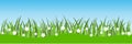 Spring grass and flowers borders. Easter decoration with spring grass and meadow flowers.