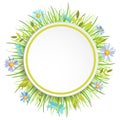 Spring grass frame. Royalty Free Stock Photo