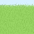 Spring grass, herb texture, seamless border background Royalty Free Stock Photo