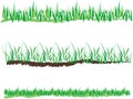 Spring Grass Vector Royalty Free Stock Photo