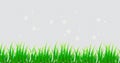 Spring grass on isolated background in realistic style. Border. Garden. Vector illustration design