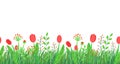 Spring grass seamless border vector with flowers for easter templates. Floral wildflower springtime nature plant element Royalty Free Stock Photo