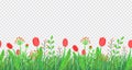 Spring grass seamless border vector with flowers. Floral wildflower springtime nature plant element isolated on Royalty Free Stock Photo