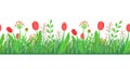 Spring grass seamless border vector with flowers. Floral wildflower springtime nature plant element isolated on white Royalty Free Stock Photo