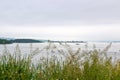 Spring grass with the view of inner Oslofjord