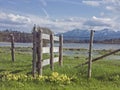 Spring on the Great lake Ostersee