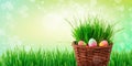 Spring green abstract wallpaper background with brown knitted basket with easter eggs