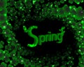 Spring green background with foliage